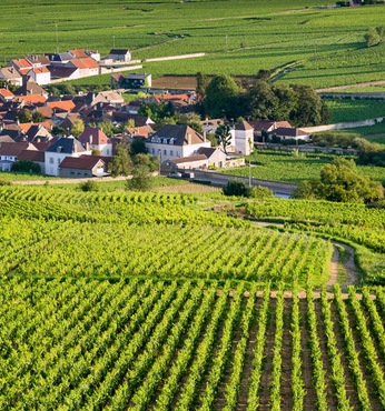 Le Verdon (Francia)
