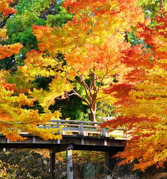 Nagoya (Japon)