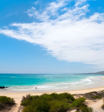 Urbina Bay (île Isabela-Galapagos)