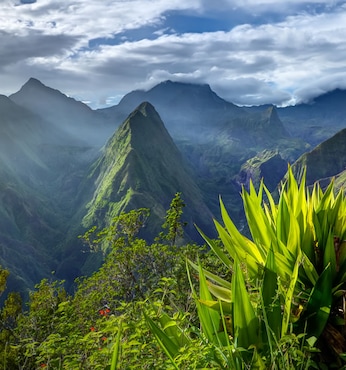 Le Port (Réunion)