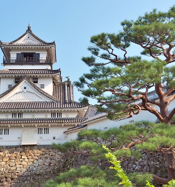 Kochi (Japon)