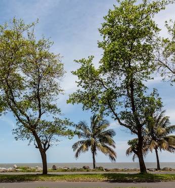 Maputo (Mozambique)