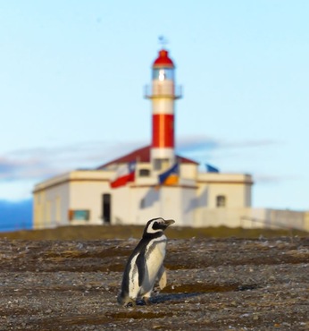 Isla Magdalena (Chile)