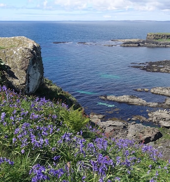 Lunga Isla (Escocia)