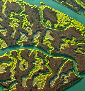 Isla Minima