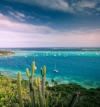 Tobago Cays (Grenadines)