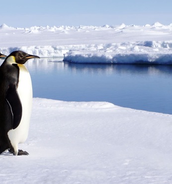 Canal de Schollart (Antarctique)
