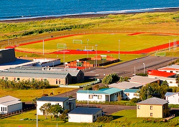 Vik