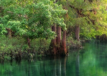 Crystal River, FL