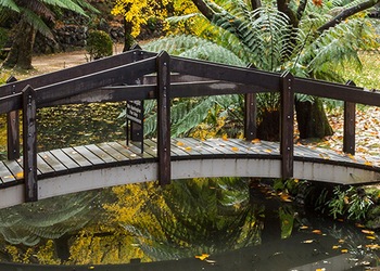 Dandenong