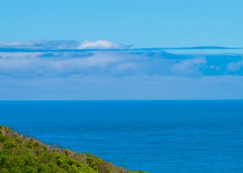 Cap Otway Victoria