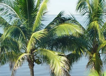 Fort Myers, FL