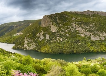 Veria