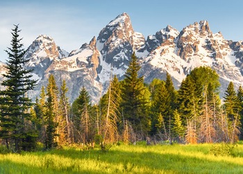 Grand Teton - Wy