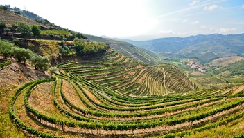 Regua (Portugal)