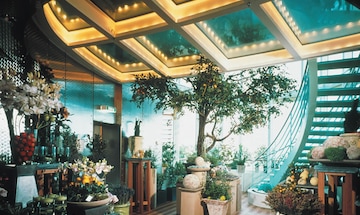 The Conservatory