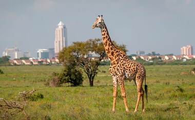 Nairobi - Jomo Kenyatta Intl