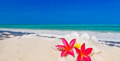 Couleurs de Tanzanie & 3 nuits Zanzibar en Hôtel 4*(nl) - 13J/10N - 2026