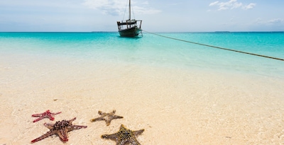 Couleurs de Tanzanie & 3 nuits Zanzibar en Hôtel 5*(nl) - 13J/10N - 2026