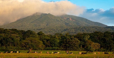 Sur la route du Costa Rica et Rincon de la Vieja - 10J/8N