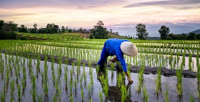 Les Incontournables du Vietnam 12J/9N - Limité à 24 pers.
