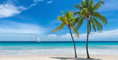 Floride & croisière MSC aux Bahamas - 12J/10N - 2026