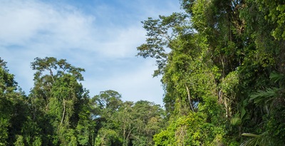 Tortuguero, Arenal et Manuel Antonio