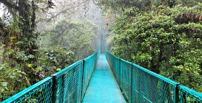 Tortuguero, Caraïbes, Arenal, Monteverde et Manuel Antonio