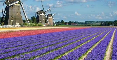Route des Fleurs