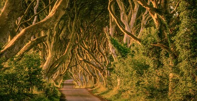 Route « Game of Thrones » par l’Île Émeraude
