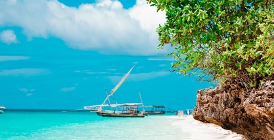 Safari en Tanzanie et à Zanzibar