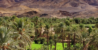 Marrakech et désert de Zagora en riads