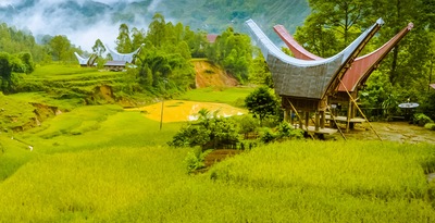 Sulawesi et Bali
