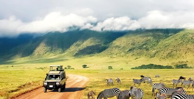 Tarangire, Serengeti, Ngorongoro et Zanzibar