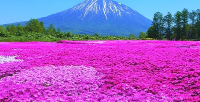 Route d'Hokkaido et Tokyo