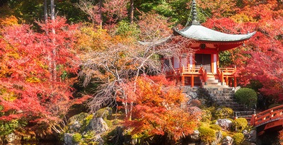 Tokyo, Takayama, Kyoto et Osaka