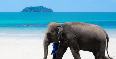 Bangkok, Chiang Mai et Koh Chang
