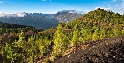 Santa Cruz de la Palma