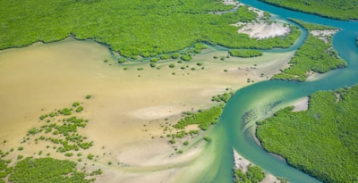 Circuit Au coeur du Sénégal et ses mangroves ***