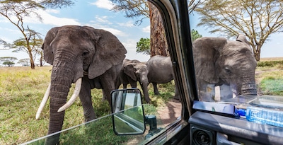 Circuit Safari entre grands parcs et lacs du nord de la Tanzanie
