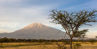 Circuit Essentiels de la Tanzanie