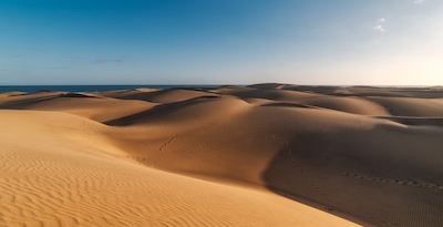 Circuit Beautés sauvages de Grande Canarie, logement auPlein Vent Sélection Mirador Maspalomas by Dunas ***