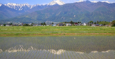 Circuit Traditions et culture du Japon ***