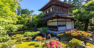 Circuit Voyage en liberté, le Japon, alliance du moderne et traditions ***