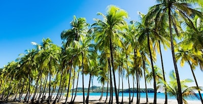 Circuit Beautés du Costa Rica et extension Puntarenas
