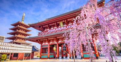 Circuit Voyage en liberté, le Japon incontournable ***