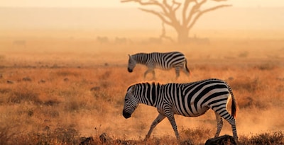 Fram Selection Pongwe Bay Resort 5* avec 2 nuits au Parc de Selous