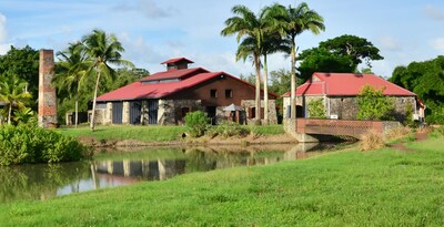 Route par la Martinique