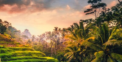 Singapour, Lovina, Candidasa, Ubud et Plages du Sud de Bali