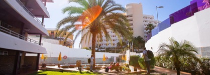 Jacarandas Beach